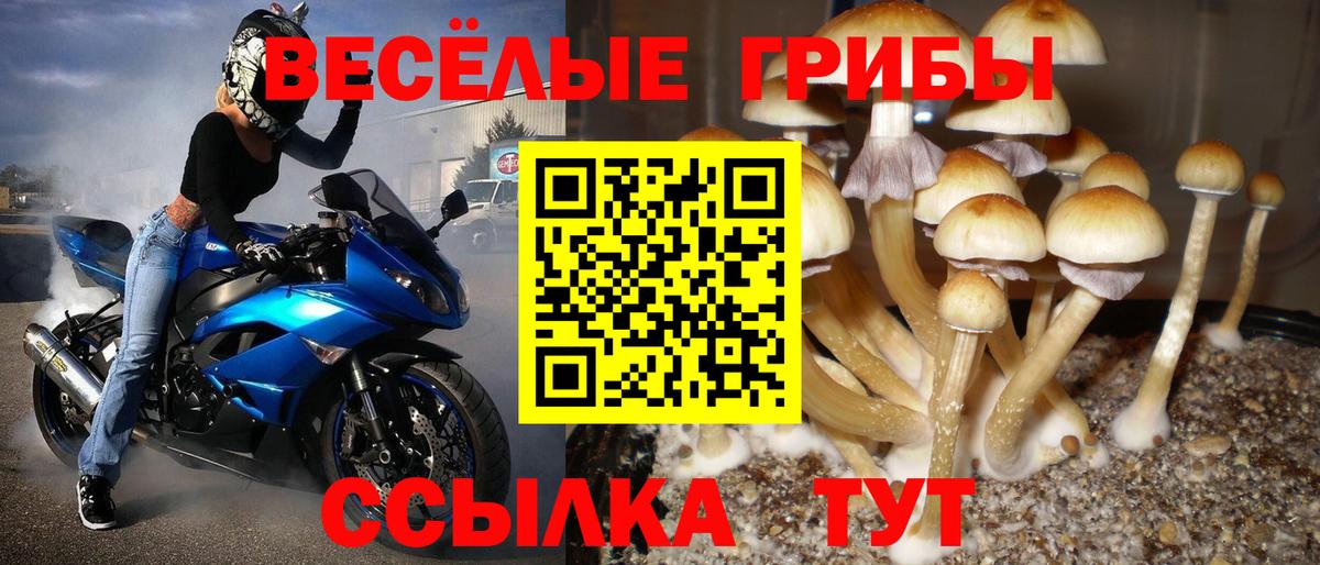 Галлюциногенные грибы прущие грибы  Псилоцибиновые грибы Magic Shrooms  Горячий Ключ  Вход с VPN 